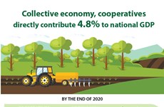 Collective economy, cooperatives directly contribute 4.8% to national GDP