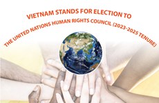 Vietnam stands for election to UN Human Rights Council 