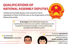 Qualifications of National Assembly deputies