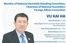 Chairman of National Assembly's Foreign Affairs Committee Vu Hai Ha