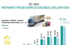Q1 trade surplus exceeds 2 billion USD