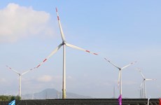 Vietnam among top three leading Asia-Pacific nations in renewable energy shift