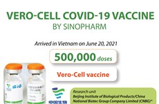 Vero-Cell Covid-19 vaccine by Sinopharm