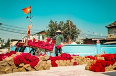 Hanoi incense-making village enters Tet season