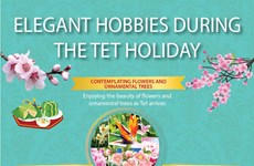 Elegant hobbies during the Tet holiday
