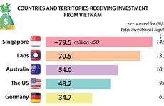 Vietnam’s overseas investment reaches nearly 534 million USD