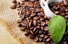 Vietnamese coffee reigns supreme on global coffee map 