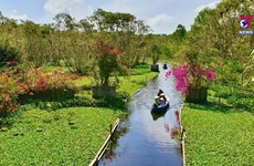 Mekong Delta has 10 more typical tourist destinations