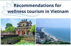 Recommendations for wellness tourism in Vietnam