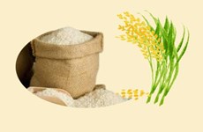 Rice exports up 40% in Q1