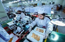 More than 51,000 new firms established