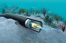 Repairs to Vietnam's two undersea cables to take weeks