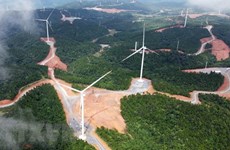 Quang Tri province prioritises investment in wind power to diversify energy sources