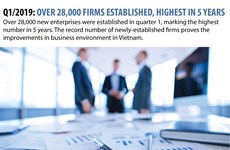 Q1/2019: over 28,000 firms established, highest in five years