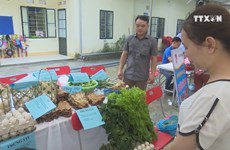 More efforts needed to develop agriculture in Bac Kan