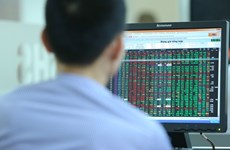 How Vietnam Stock Exchange’s structure looks like?