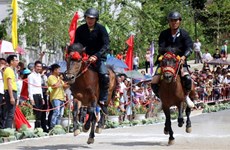 Fansipan Horse Race ‘Galloping Horses’ 2019