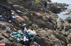 Youngsters join hand to collect trash in Da Den beach