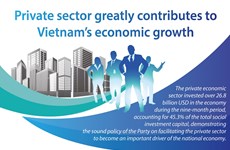 Private sector greatly contributes to Vietnam’s economic growth