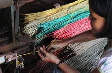 Long Dinh mat weaving craft offers jobs for locals