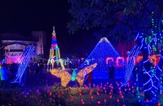 Light festival celebrates Hai Duong’s recognition of first-tier city