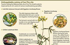 Unforgettable cuisine of Can Tho city