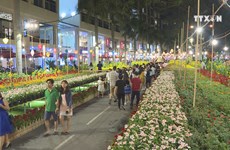 HCM City to open 170 flower markets during Tet