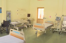 Acute respiratory disease hospital in Ho Chi Minh City comes into operation