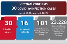 Vietnam confirms 30 COVID-19 infection cases