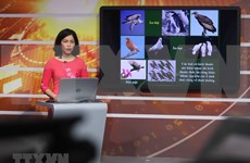 Hanoi broadcasts lessons on TV as schools remain closed