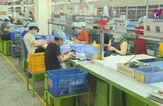 Vietnam to post world’s fifth-highest economic growth: WB