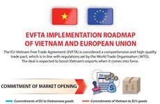 EVFTA implementation roadmap of Vietnam and European Union