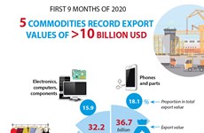 5 commodities record export values of over 10 billion USD
