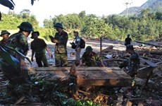 Rescuers work non-stop in search for landslide victims
