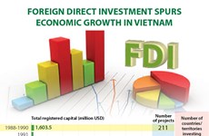 Foreign direct investment spurs economic growth in Vietnam