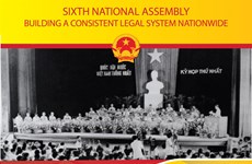 Sixth National Assembly: Building a consistent legal system nationwide
