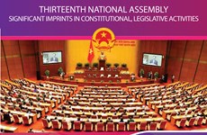 Thirteenth National Assembly: Significant imprints in consitutional, legislative activities