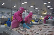 Tra fish exports showing signs of recovery