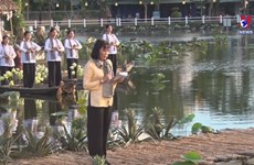 Festival held in Hau Giang to honour Vietnamese blouse