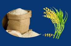 First 9 months of 2023: Rice exports rise 40.4%