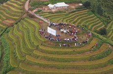 Golden harvest festival celebrated in Son La