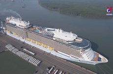 Luxury cruise vessel brings nearly 4,500 visitors to Vietnam