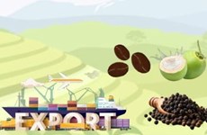 Export value of six key industrial crops to reach 14-16 bln USD by 2030