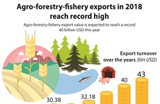 Agro-forestry-fishery exports in 2018 reach record high