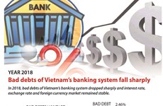 Vietnamese banks' bad debts fall sharply in 2018