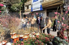 Hanoi opens 64 spring flower markets to welcome Tet