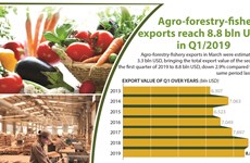 Agro-forestry-fishery exports reach 8.8 bln USD  
