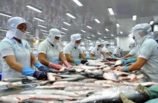 Aquaculture sector faces challenges 