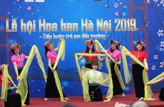 Hanoi hosts first ever “Ban” flower  