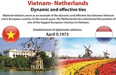 Vietnam- Netherlands: Dynamic and effective ties